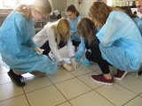 Druga część warsztatów mikrobiologii środowiskowej